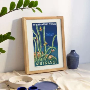 Vintage Air France poster Antillen kolibries en cactussen mid century