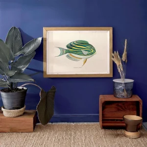 Tropische vis poster gestreepte doktersvis Acanthurus lineatus vintage natuurillustratie