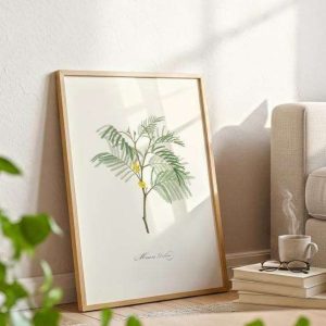 Botanische poster mimosa Acacia dealbata vintage plantenillustratie