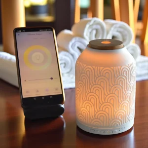 Smart Diffuser | Praag | 120 ML